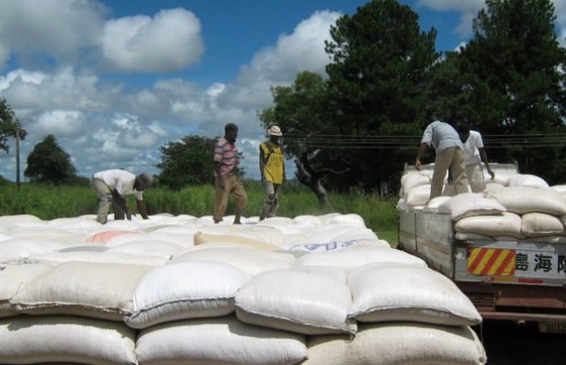 FRA to announce maize purchase price next month