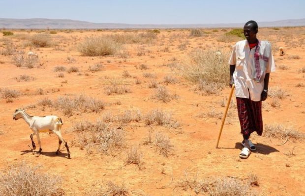 We plan to mobilise $34.7bn for climate adaptation – Govt