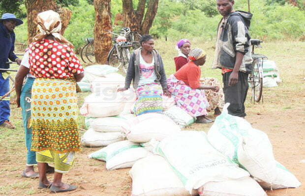 Food security is not the responsibility of farmers, it’s govt’s duty to offer competitive price