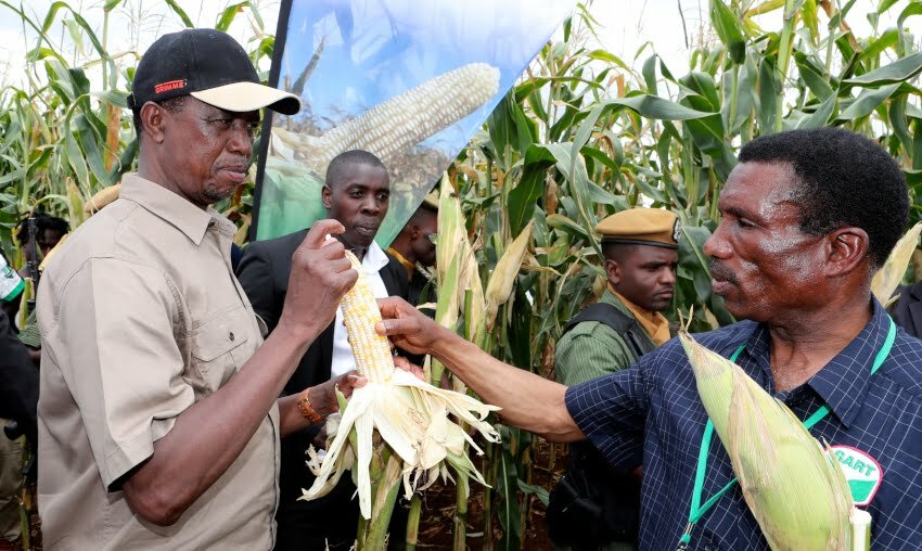 We thank UPND if they credit us for making Zambia food secure