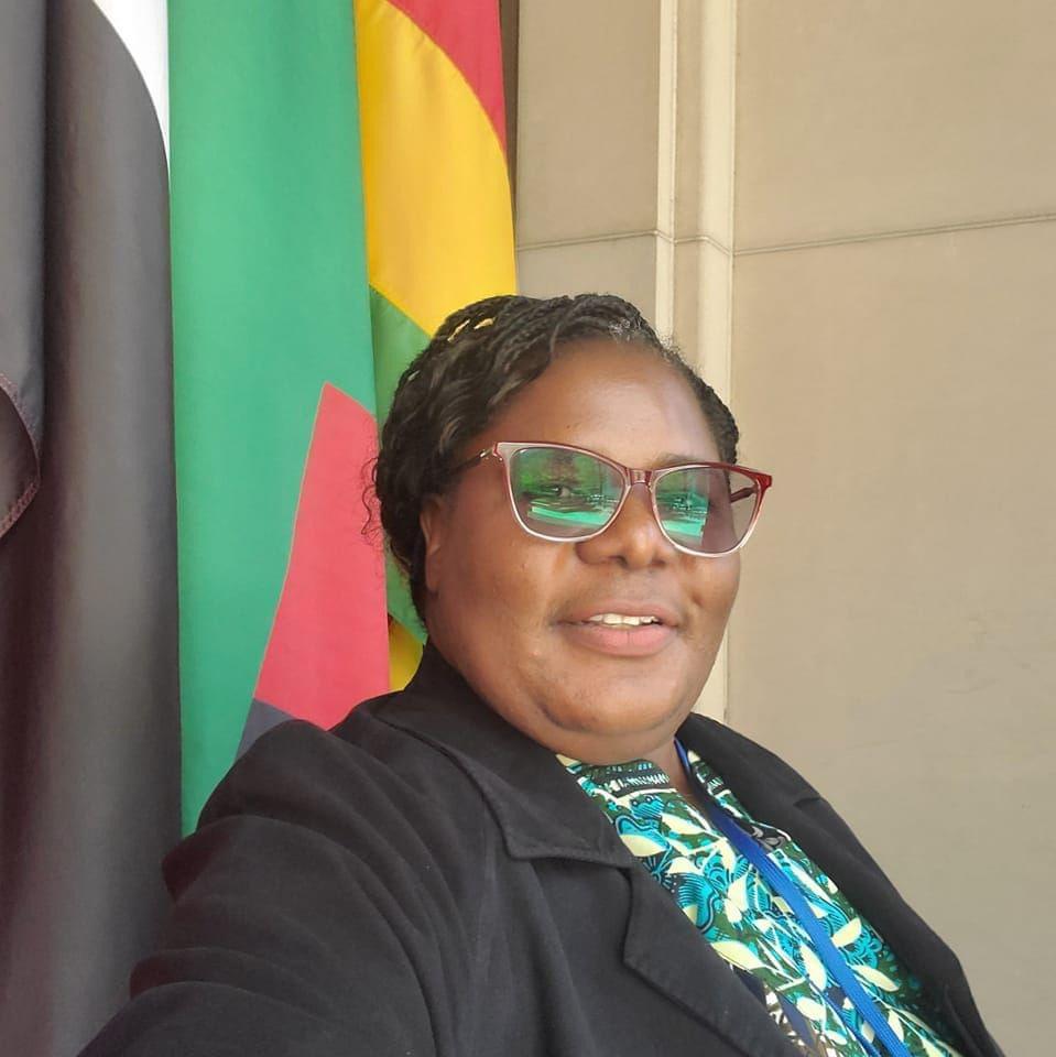 As accountability champion, HH should be transparent over his assets – ActionAid