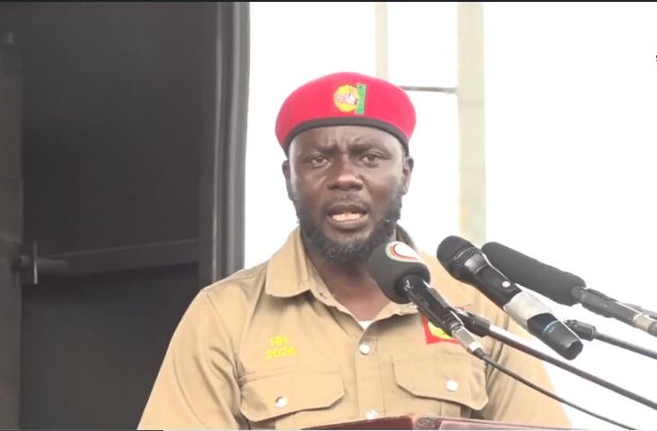 We’ll dissolve party structures that won’t help achieve 5 million votes target – Liswaniso