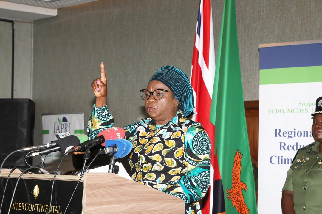 You can remove UPND and still remain poor – VEEP