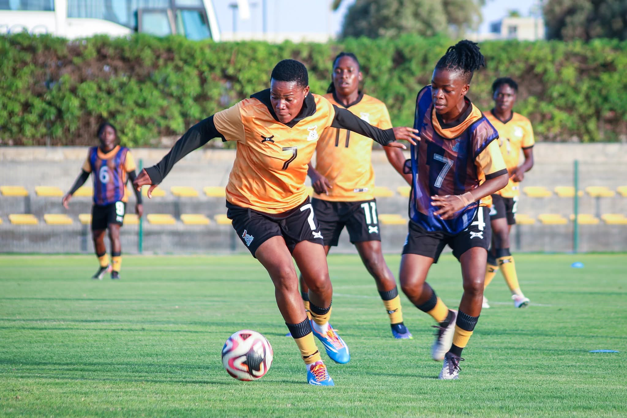 No underdogs at WAFCON – Nanyangwe