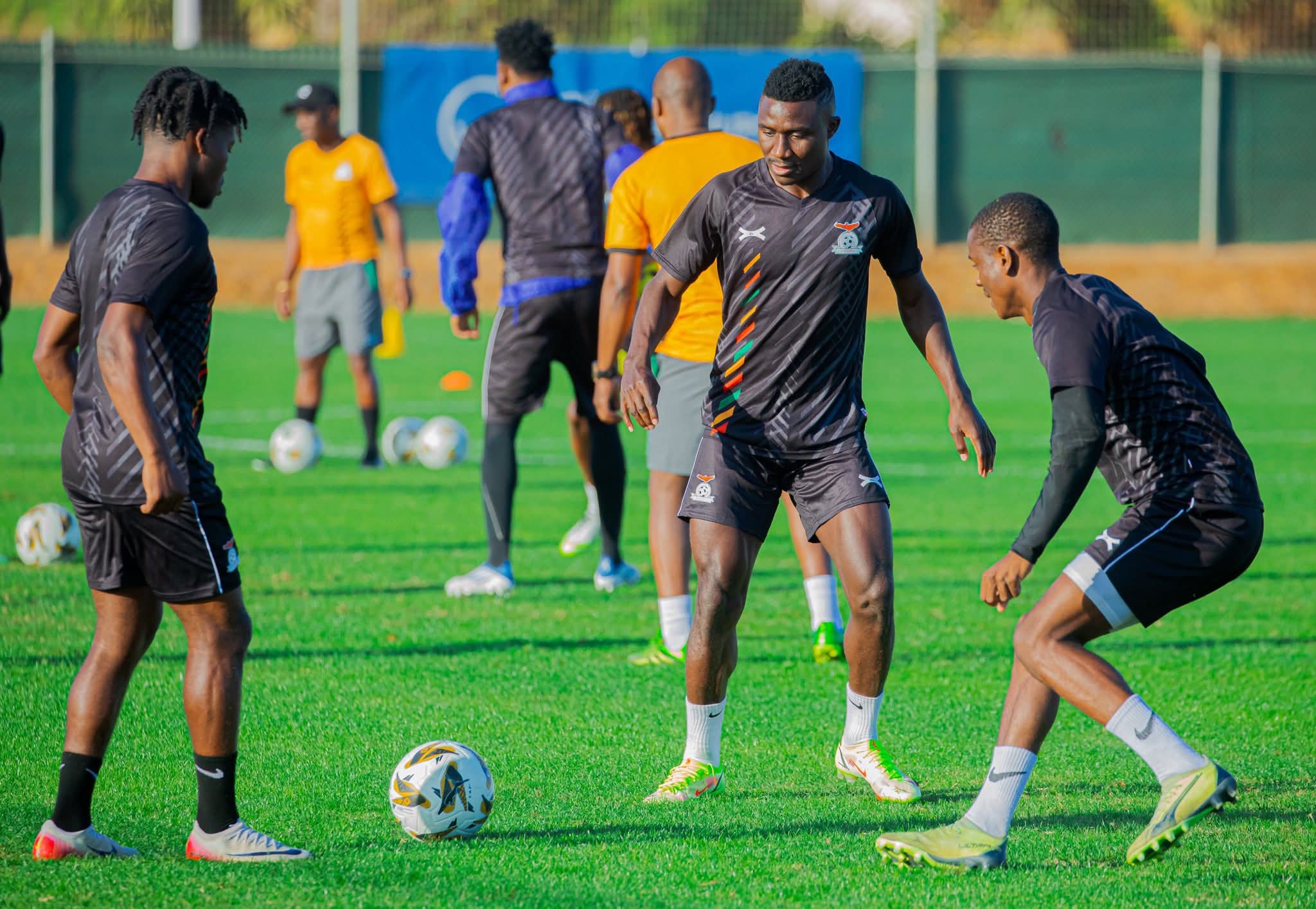 FAZ cancels Ivory Coast friendly