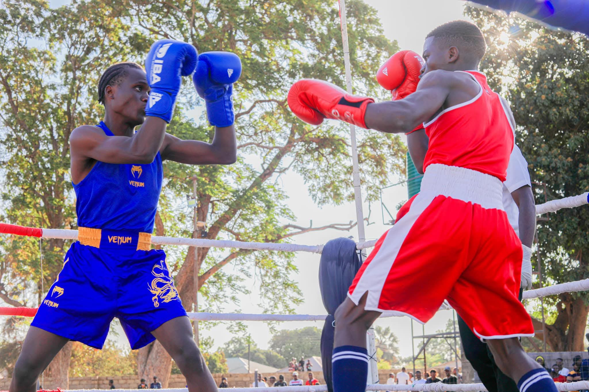 Zambia eyes 2026 Africa Elite Boxing Championships hosting rights