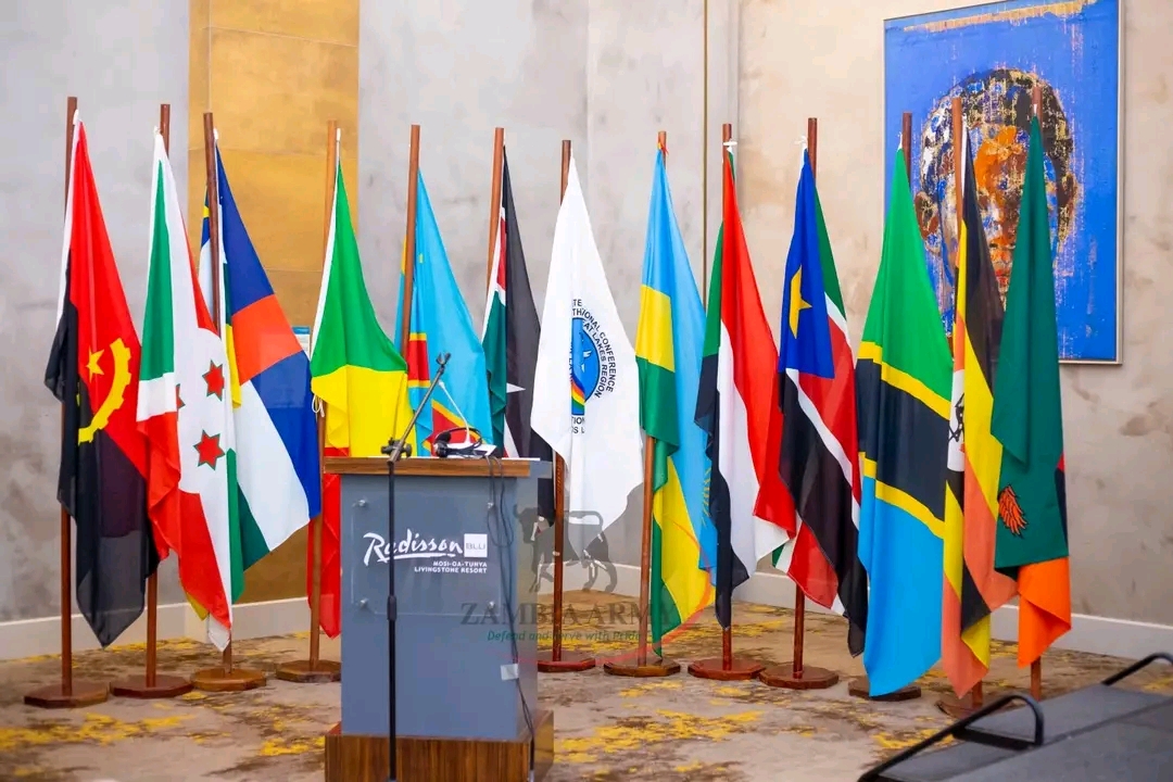 Veep calls for urgent action to end fighting in DRC