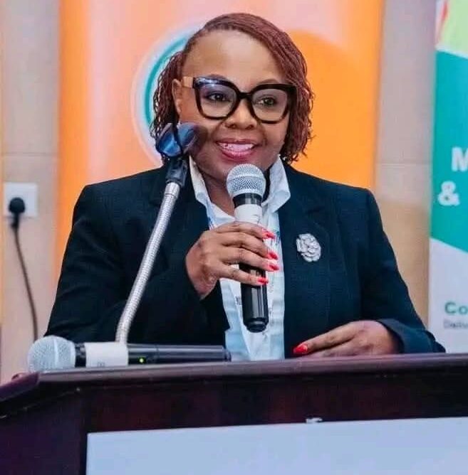 Power generation remains stable – ZESCO – Zambia: News Diggers!