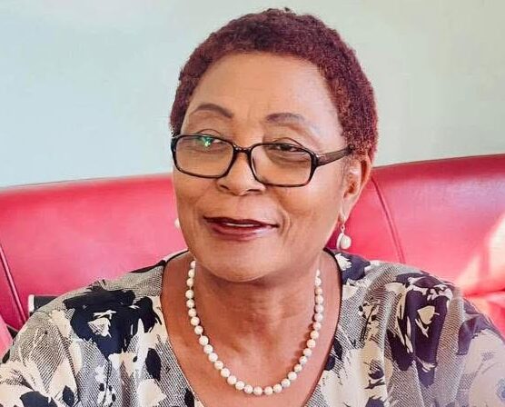 We’re ready to facilitate dialogue with political parties ahead of polls – ZCID