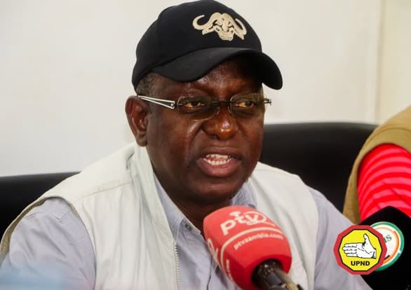 We delayed convention because we were mobilising resources – UPND