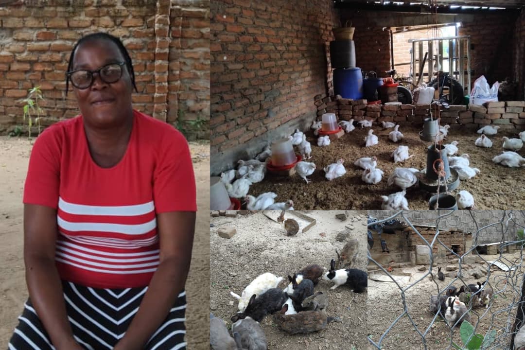 Chama North woman tips ‘housewives’ after growing agribusiness with CDF loan