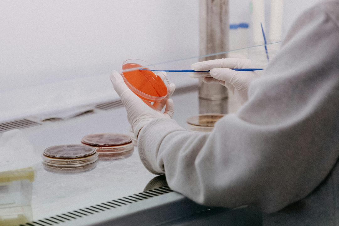 GHRP-2: Theoretical Research Horizons in Endocrine and Metabolic Research