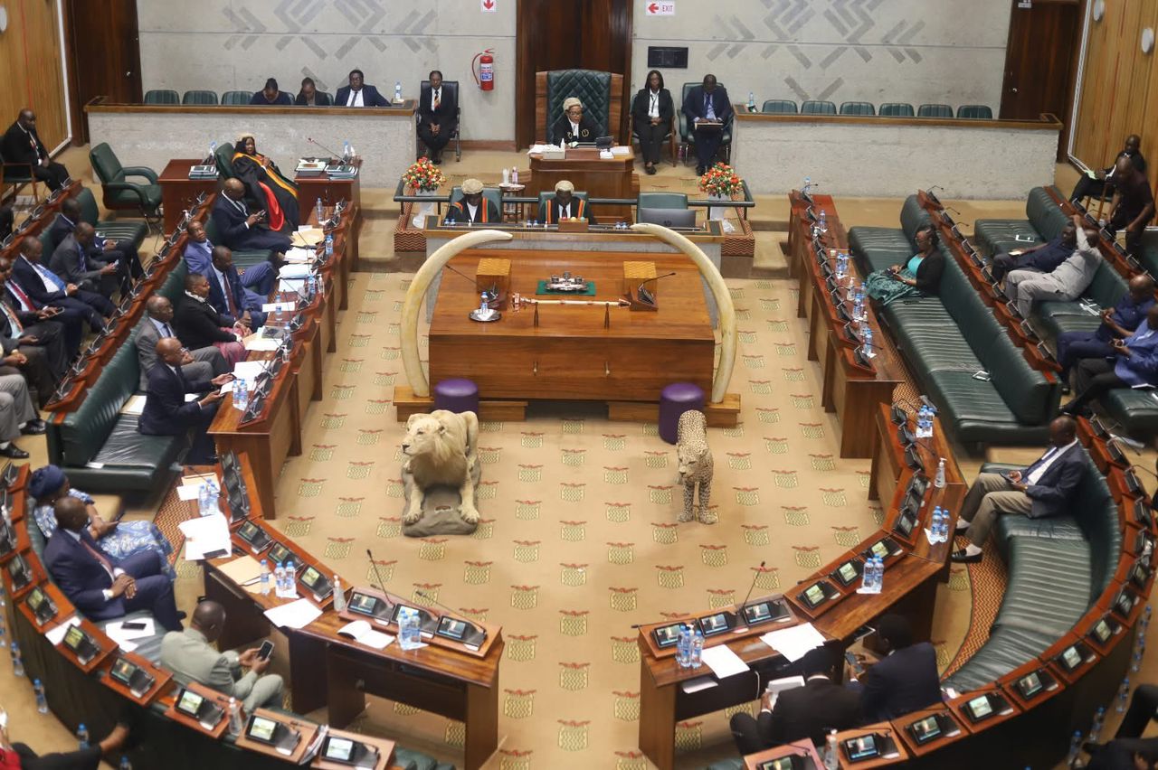 Public Gatherings Bill annoys citizens, “It’s the death of democracy,” says Binwell