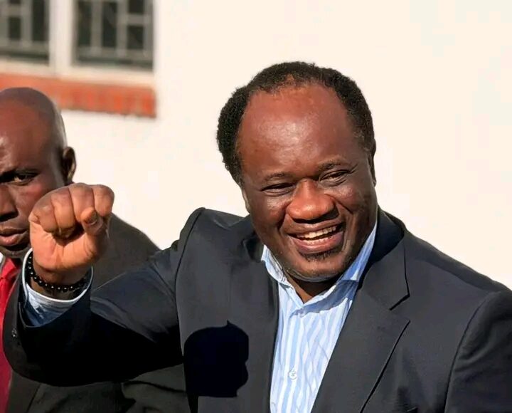 People have high hopes for our alliance, it must work – Mundubile