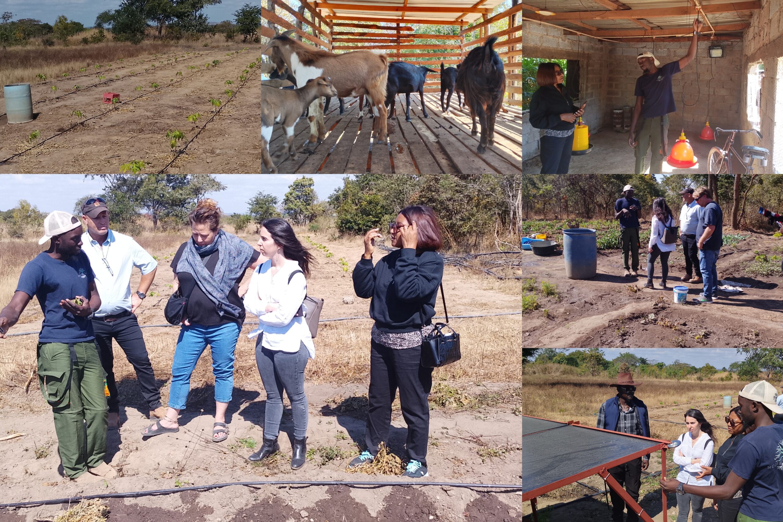 Israel trains 740 Zambian students in agriculture